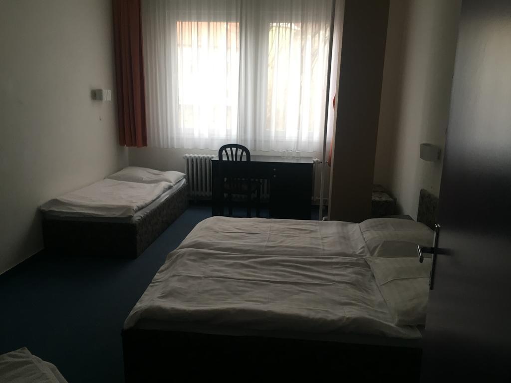 Hotel U Tri Lvu Ческе-Будеёвице Экстерьер фото
